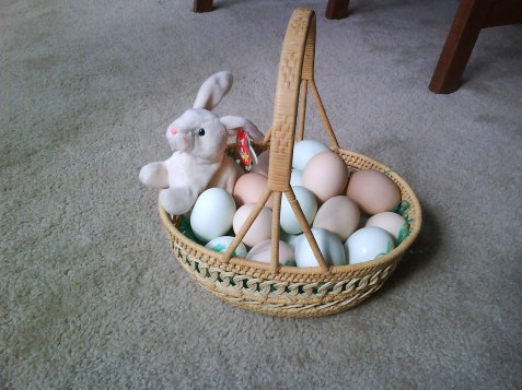 Step 2: Put in really cute basket with cute stuffed bunny